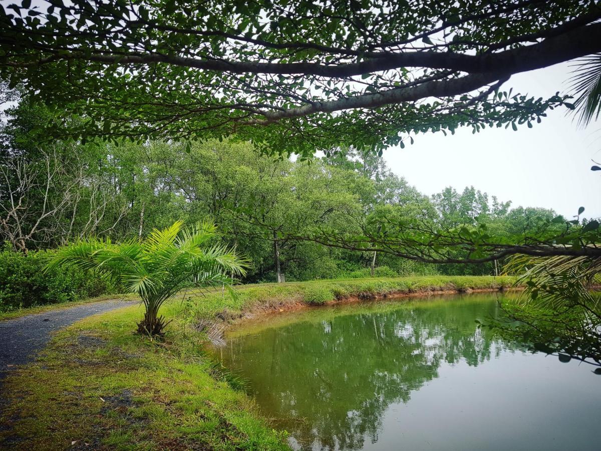 Calm At Bangphat Bor Saen Экстерьер фото